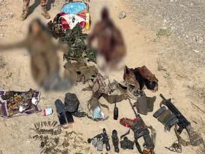 011749216716-0-600x450