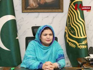 DC mzg Qurat UL ain memon 2