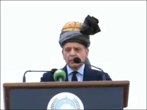 Shabaz Shreef-600x450