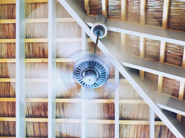 fan1748704101-0-600x450 (1)