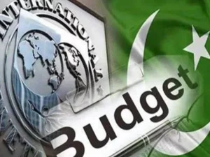imf-budget1747184533-0-600x450