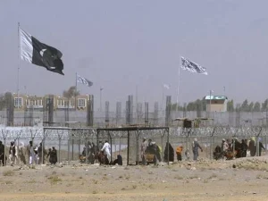 011760710164-0-600x450