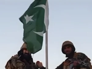 at1772173012-0-440x330