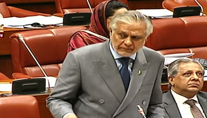 Foreign Minister Ishaq Dar