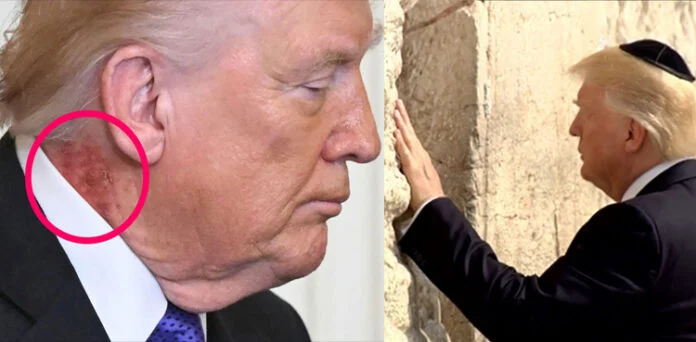 Trump-16-696x342